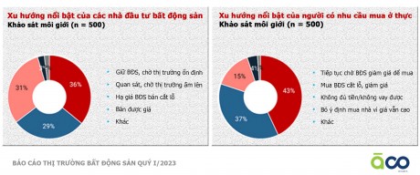 Àco Homes kỳ vọng thị trường bđs nữa cuối năm 2023 - cơ hội trong thử thách