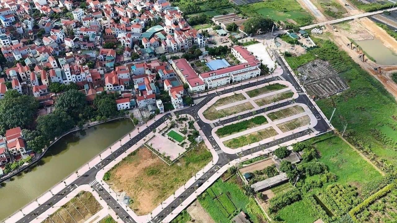 Đấu giá đất